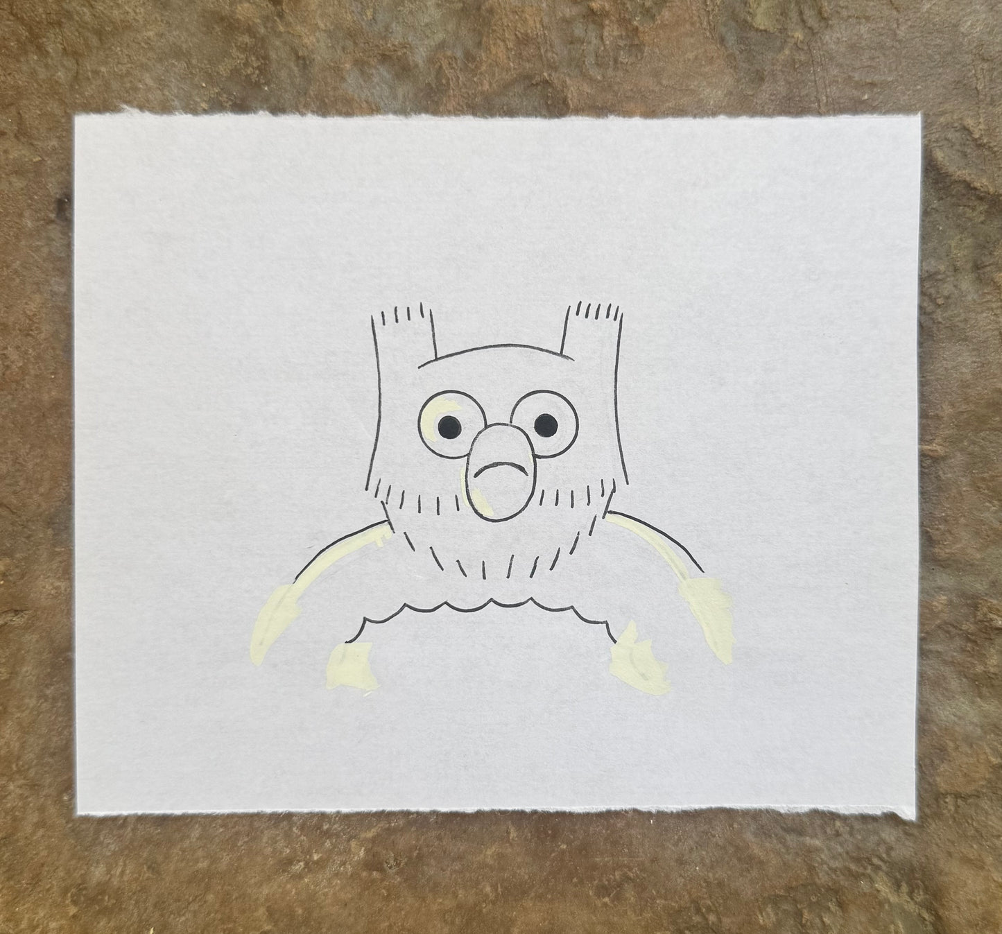 SMALL OWL